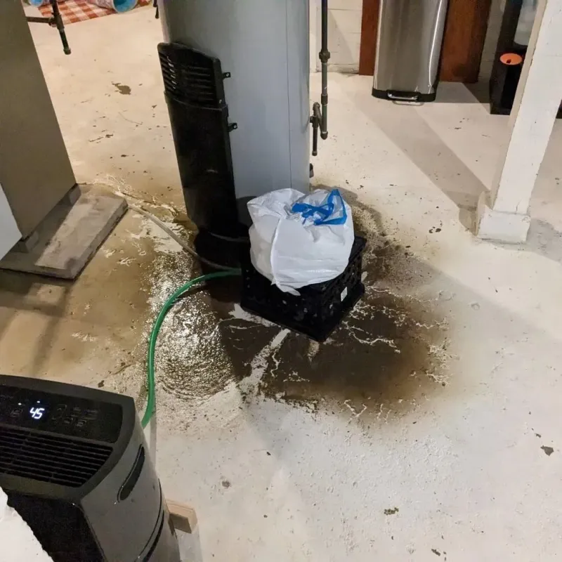 Sewage Backup Cleanup Service in Presidio, TX